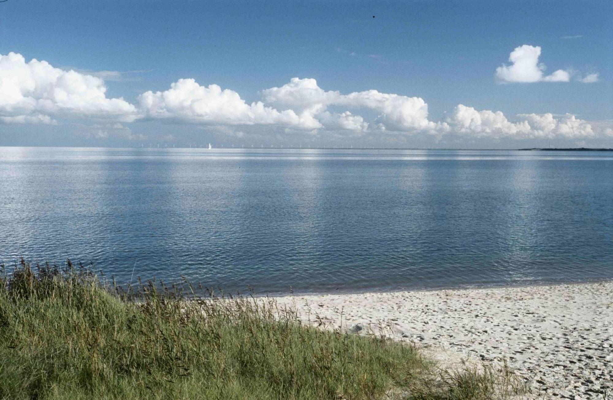 Wattblick Braderup (Sylt)